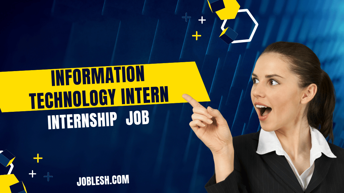 Information Technology Intern Job