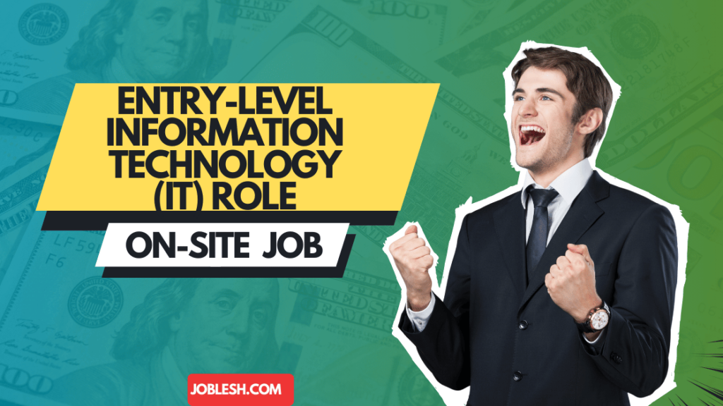 Entry-level Information Technology (IT) Role