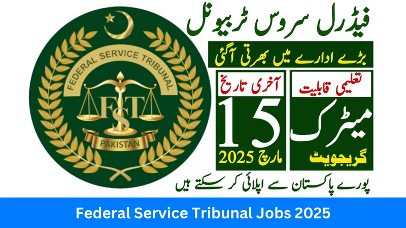 Federal Service Tribunal Jobs 2025